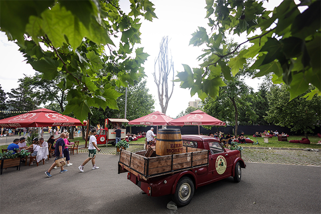 Grillfest Carousel 8