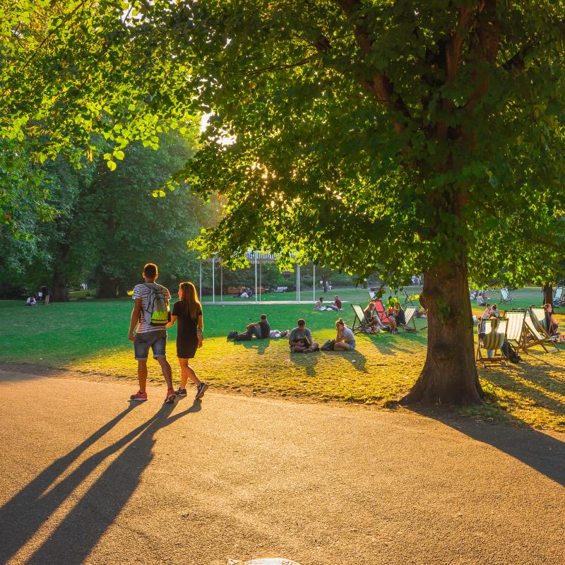 A couple walking together through a park.